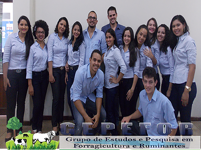 Foto da equipe do GEPEFOR no Primeiro Seminário realizado pelo grupo